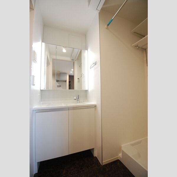 洗面所 (303　洗髪洗面化粧台、室内洗濯機置場)