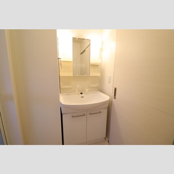洗面所 (洗髪洗面化粧台)