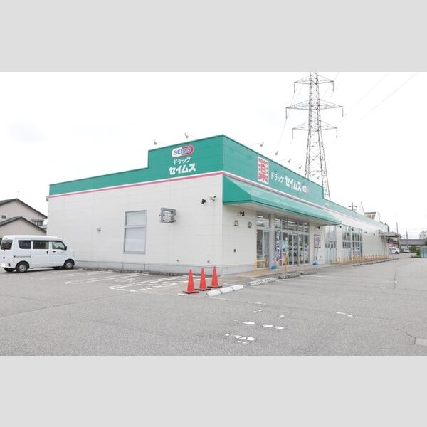 現地周辺 (ドラックストア セイムス 富山黒瀬店)