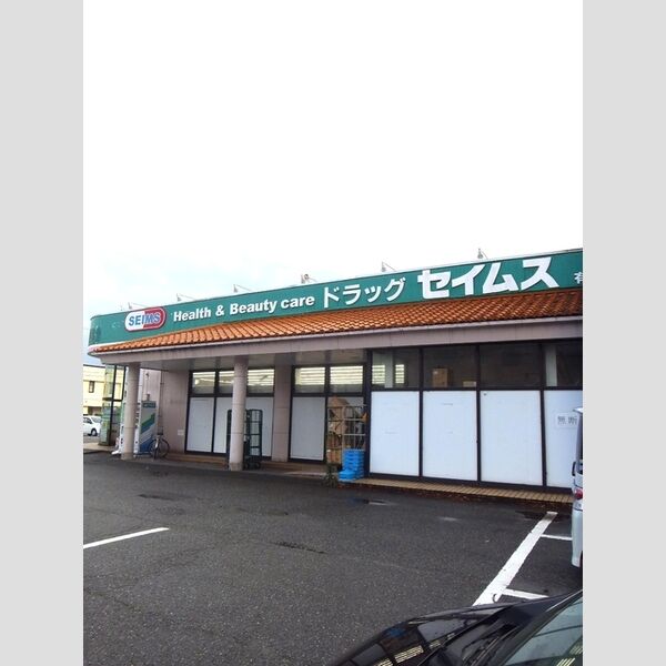 現地周辺 (ドラッグセイムス有沢店)