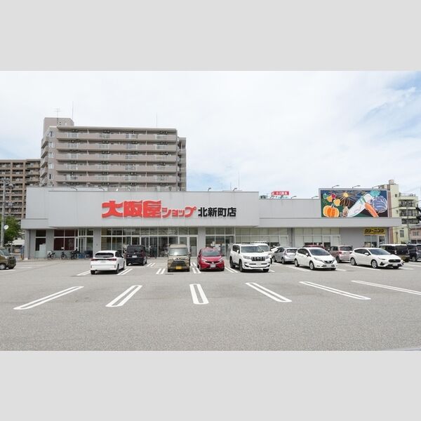 現地周辺 (大阪屋ショップ北新町店まで600m)