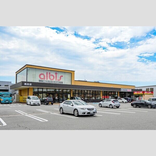 現地周辺 (albis奥田店まで400m)
