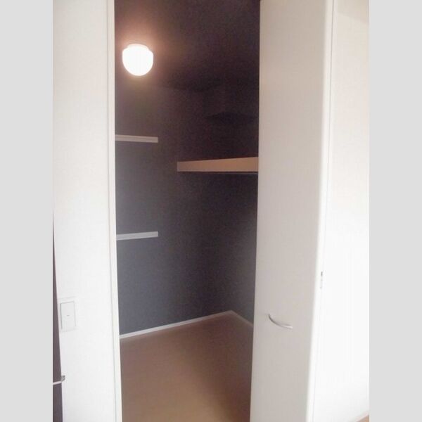 収納 (2F洋室　ウォークインクローゼット)