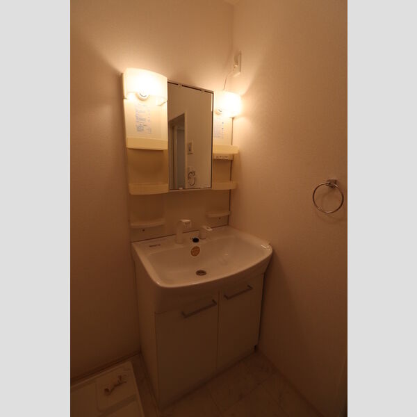 洗面所 (洗髪洗面化粧台)
