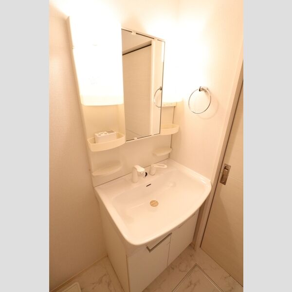 洗面所 (洗髪洗面化粧台)