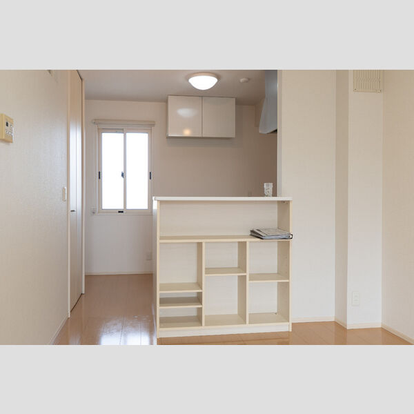 その他 (カウンター収納)