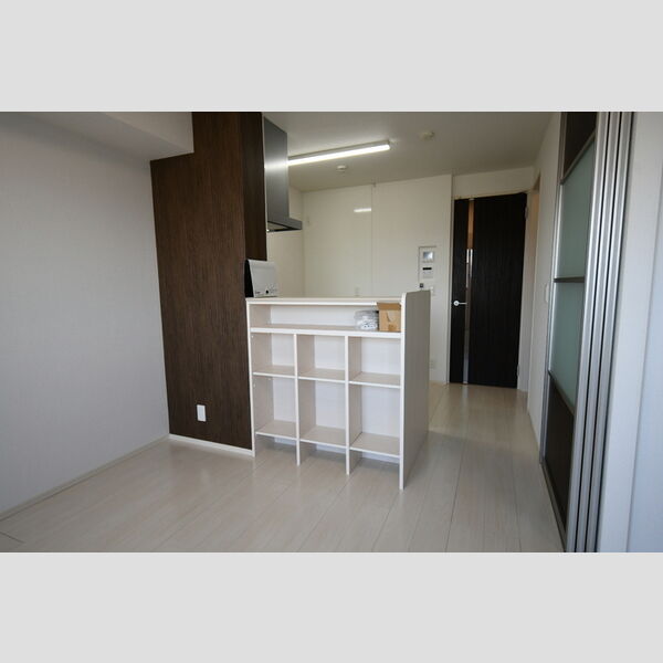 その他 (205・カウンター収納)