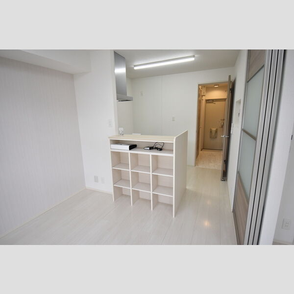 その他 (107・カウンター収納)