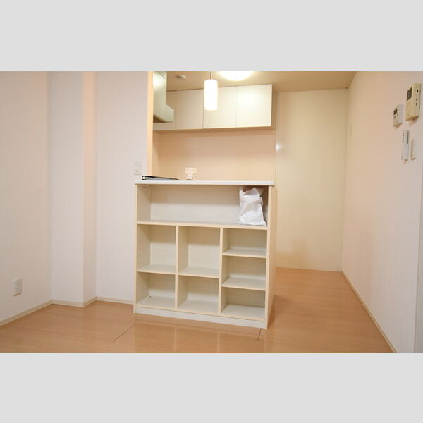 その他 (A203・カウンター収納)