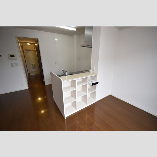 その他 (A102・カウンター収納)