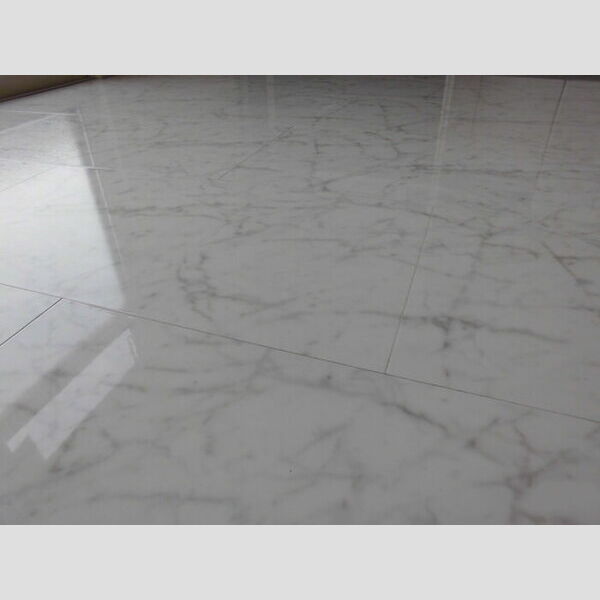 その他設備 (大理石調のフロア)