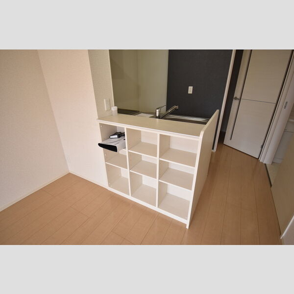 その他 (101・カウンター収納)