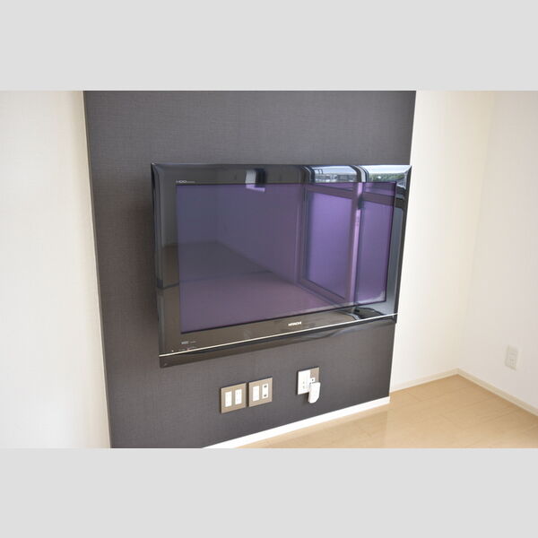 その他 (205・テレビ)