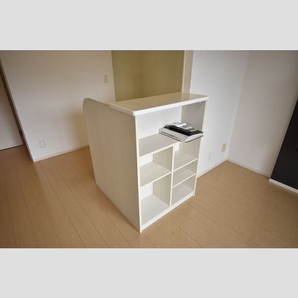 その他 (205・カウンター収納)