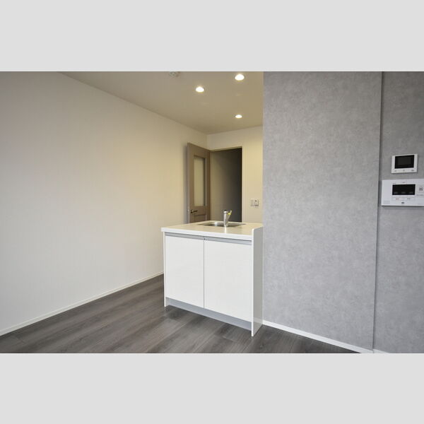 その他 (202・カウンター収納)