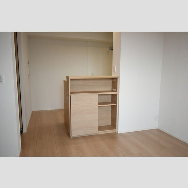 その他 (303・カウンター収納)