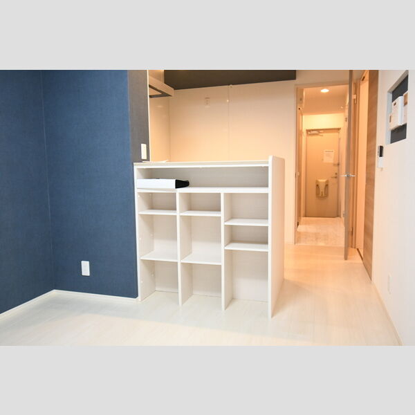 その他 (102・カウンター収納)