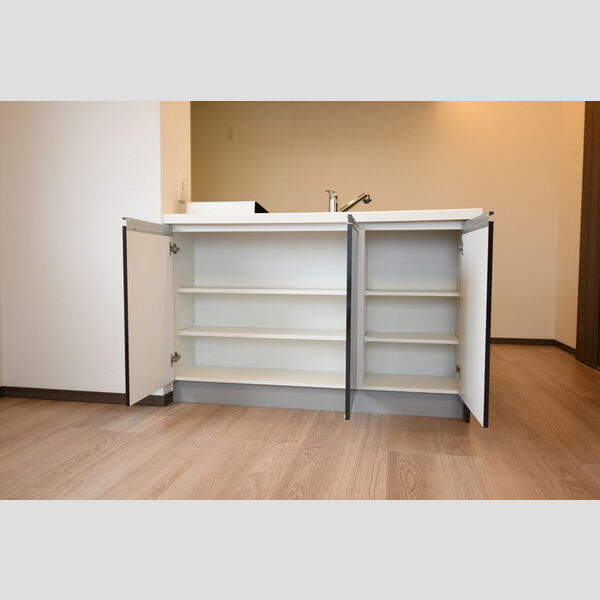 その他 (301・カウンター収納)