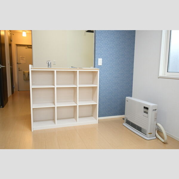 その他 (101・カウンター収納)