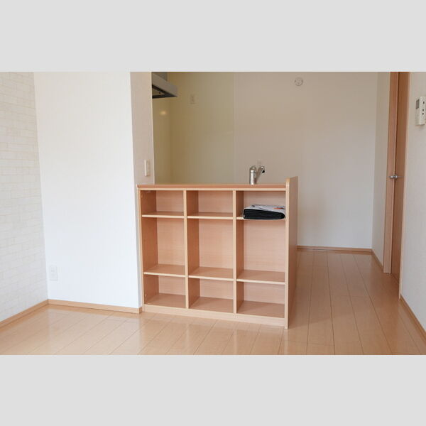 その他 (101・カウンター収納)