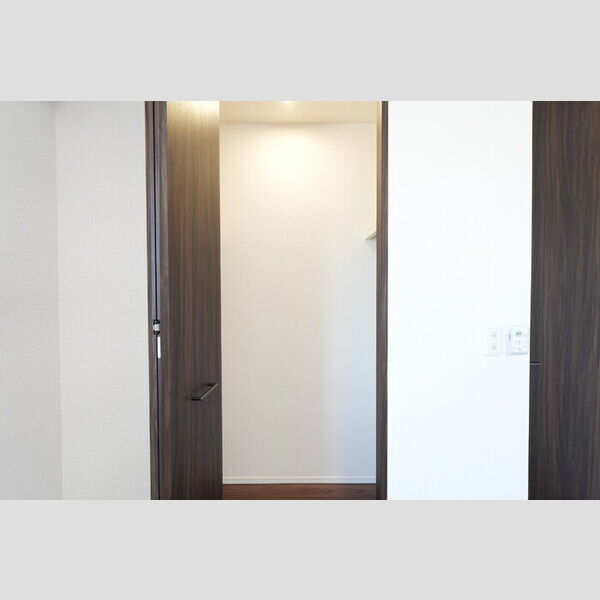 その他 (301・ウォークインクローゼット)