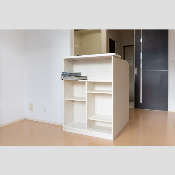 その他 (カウンター収納)