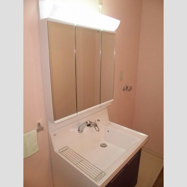 洗面所 (洗髪洗面化粧台)