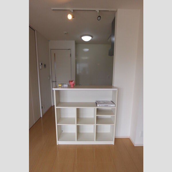 その他 (B203 カウンター収納)