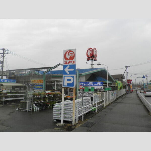 現地周辺 (コメリ　700m)