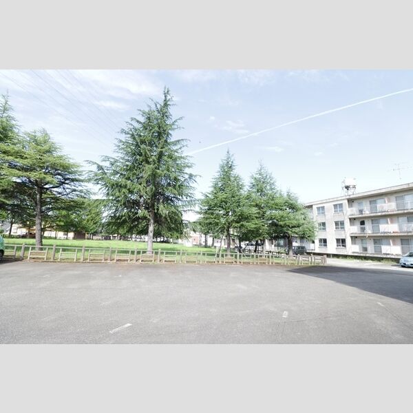 現地周辺 (隣地公園)