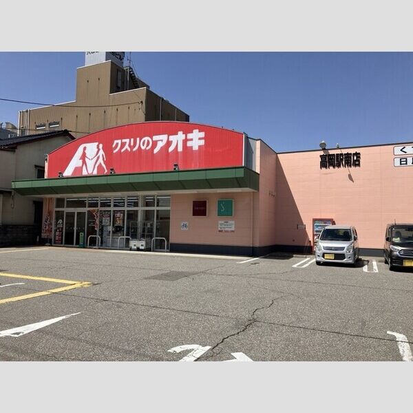 現地周辺 (クスリのアオキ高岡駅南店)
