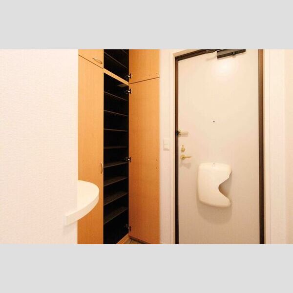 その他 (シューズ箱)