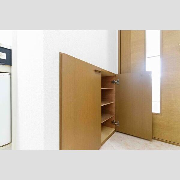 その他 (シューズ箱)