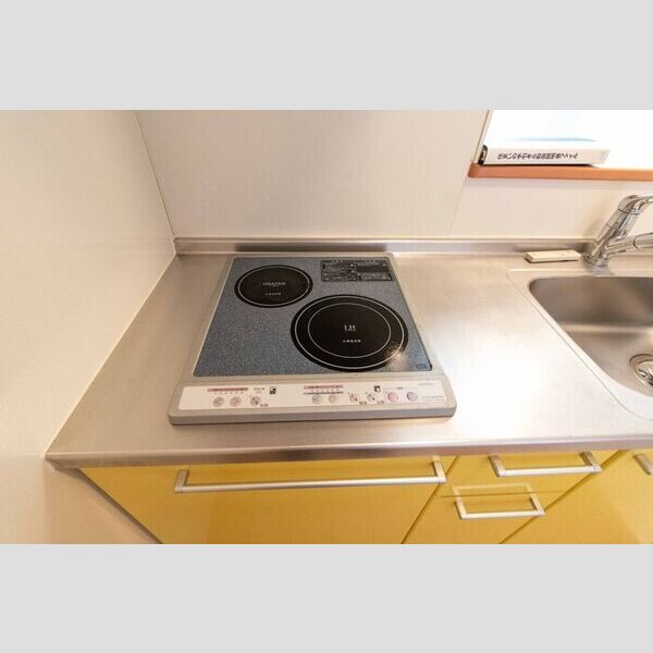 その他 (205・IH)