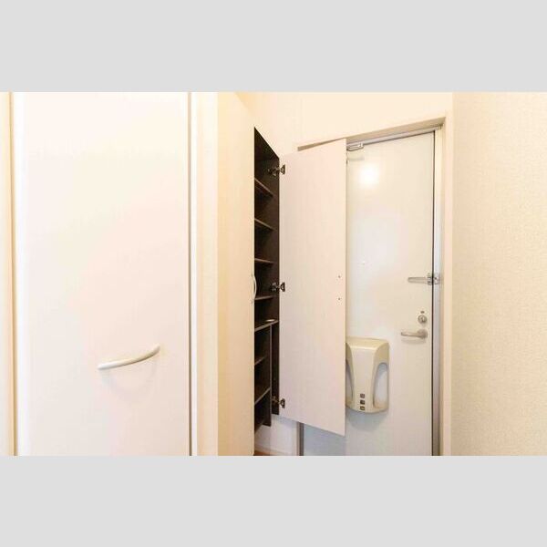 その他 (シューズ箱)