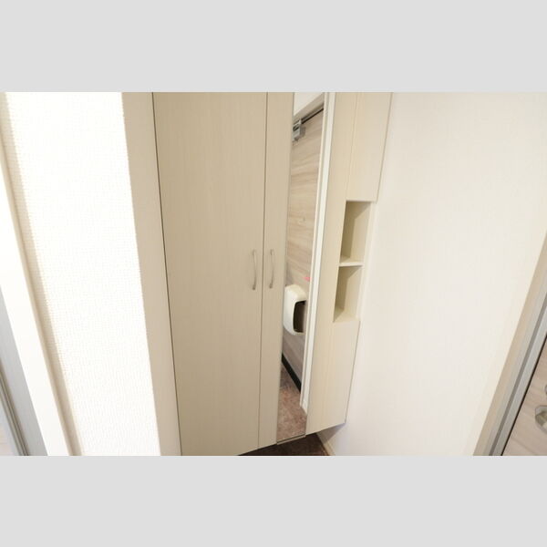 その他 (A201・シューズ箱)