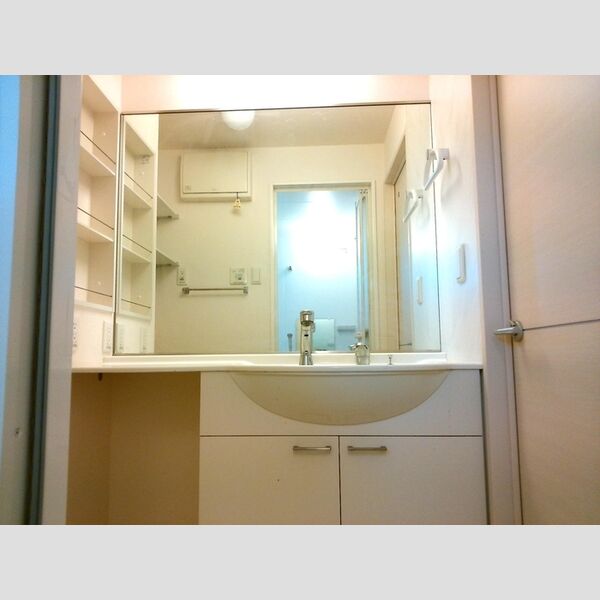 洗面所 (洗髪洗面化粧台)