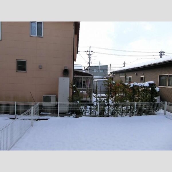 その他 (庭)
