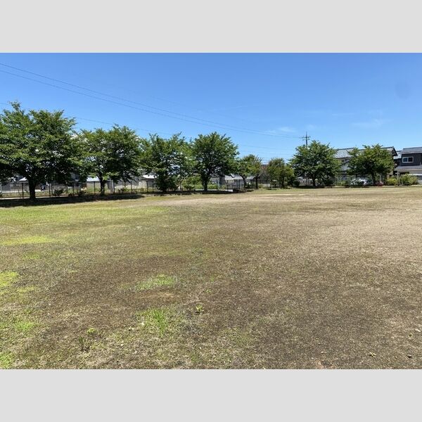 現地周辺 (公園)