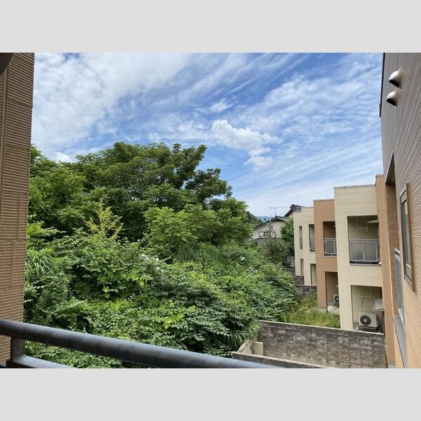 現地周辺 (眺望)