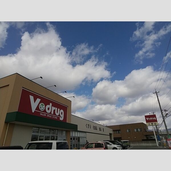 現地周辺 (V・drug森田店(770m))