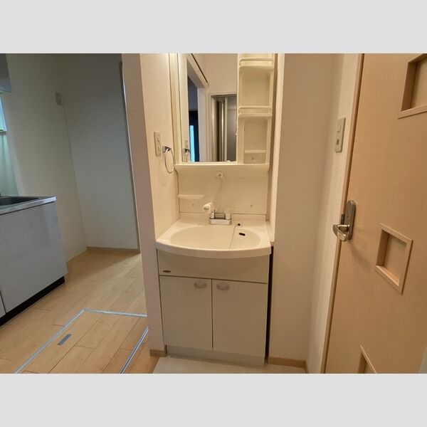 洗面所 (洗髪洗面化粧台)