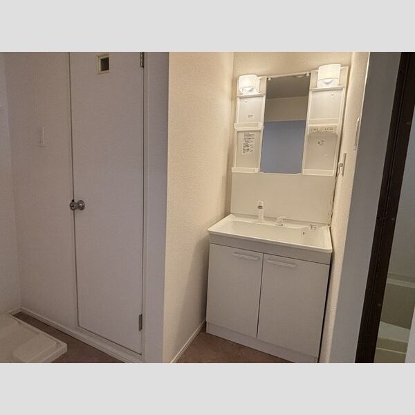 洗面所 (洗髪洗面化粧台)
