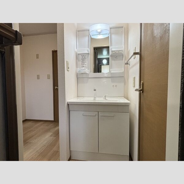 洗面所 (洗髪洗面化粧台)