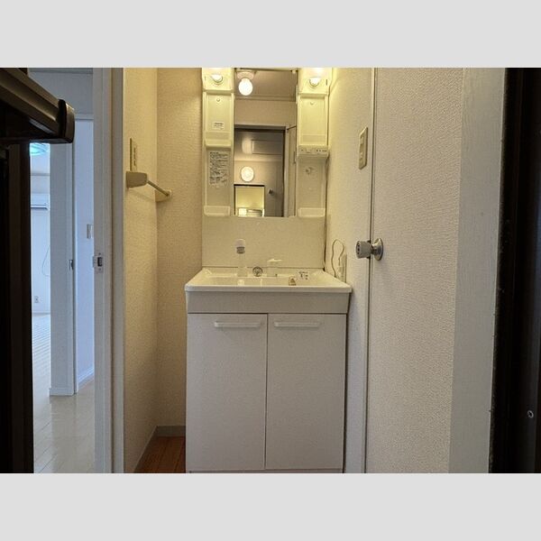 洗面所 (洗髪洗面化粧台)