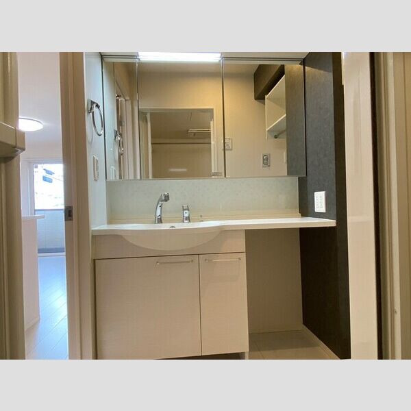 洗面所 (洗髪洗面化粧台)