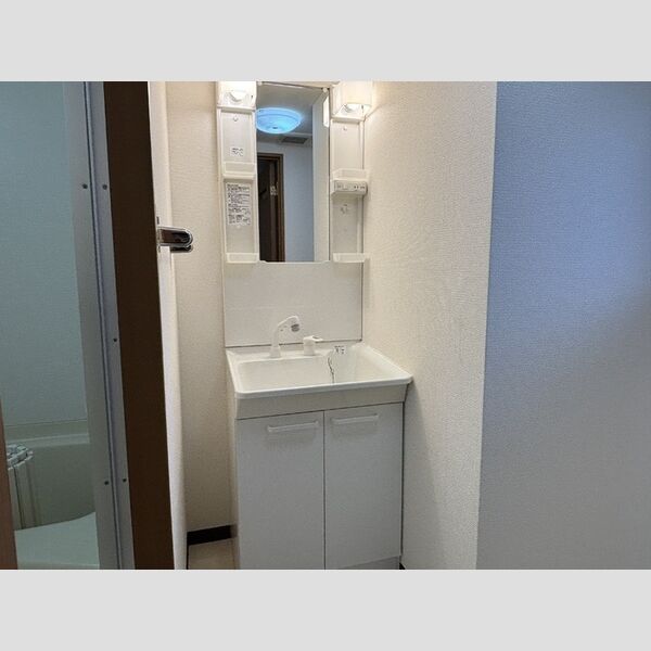 洗面所 (洗髪洗面化粧台)