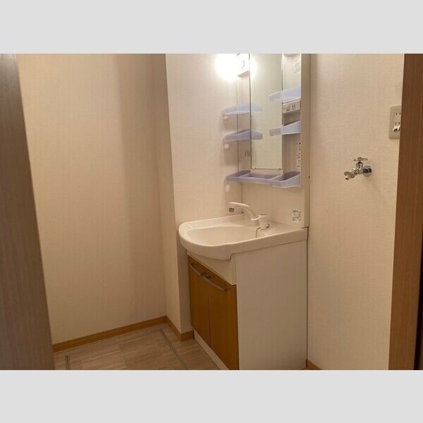洗面所 (洗髪洗面化粧台)