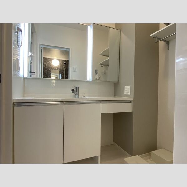 洗面所 (洗髪洗面化粧台)