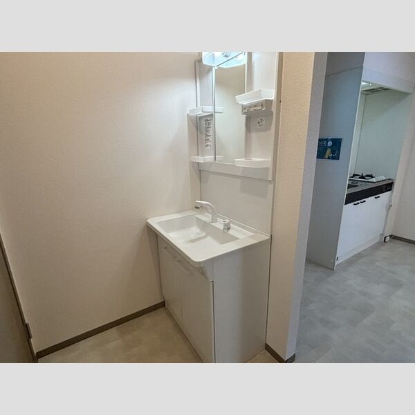 洗面所 (洗髪洗面化粧台)